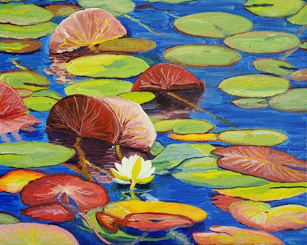 Waterlily at Lacassine by Claire Dawkins