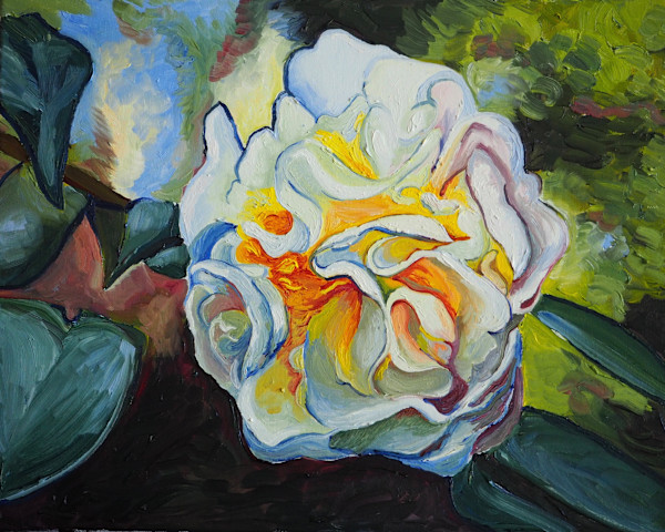Camellia at the Nursery, Avery Island by Claire Dawkins