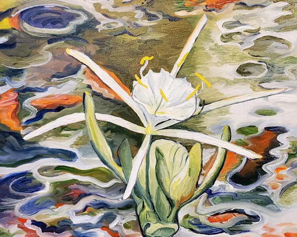Spider Lily at Fausse Pointe by Claire Dawkins