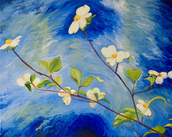 Flowering Dogwood at Indian Creek by Claire Dawkins