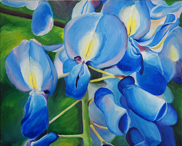 Wisteria in Deep Shade by Claire Dawkins
