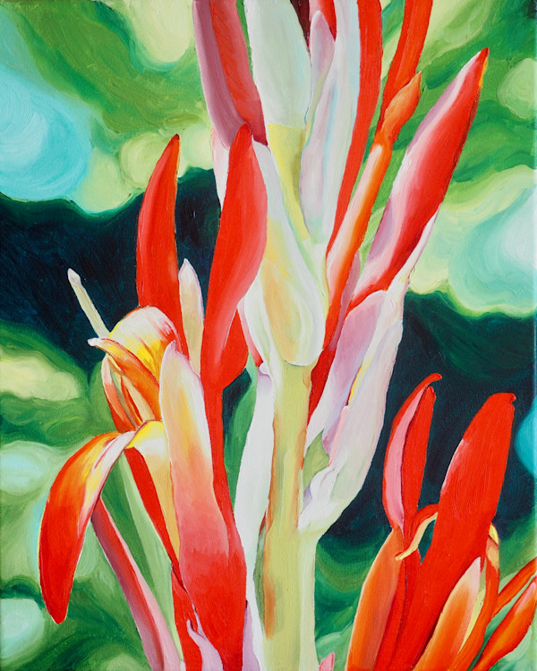 Native Canna Lily (Indian Shot) at Couturie Forest by Claire Dawkins