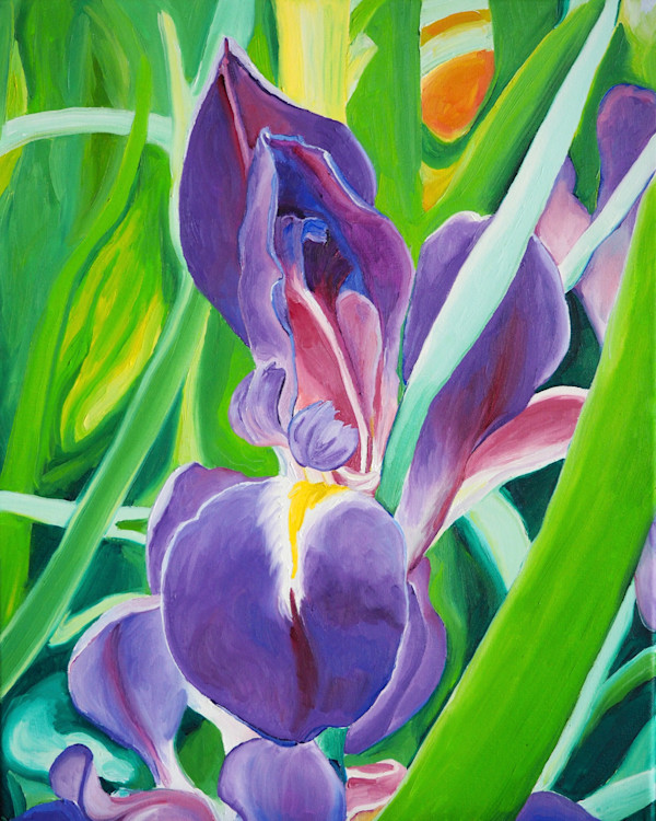 Bright Purple Iris at Avery Island by Claire Dawkins