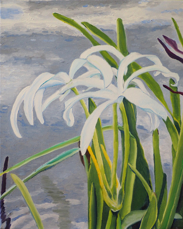 Crinum Lilies along the San Jacinto River by Claire Dawkins
