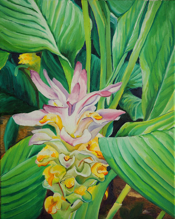 Hidden Ginger by Claire Dawkins
