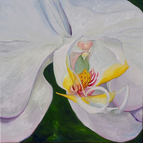 Hothouse Orchid by Claire Dawkins