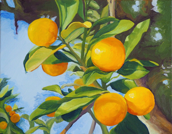 Garden Kumquats by Claire Dawkins