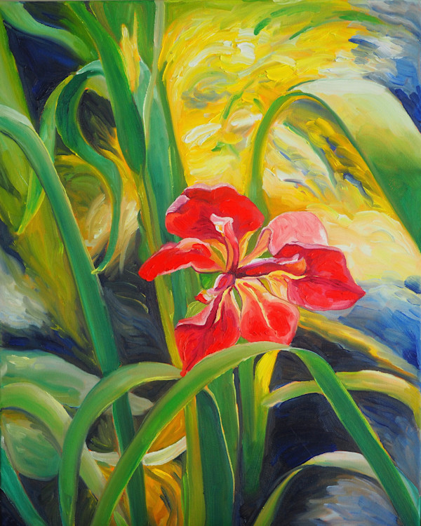 Abbeville Red in the Sun at Palmetto Island by Claire Dawkins
