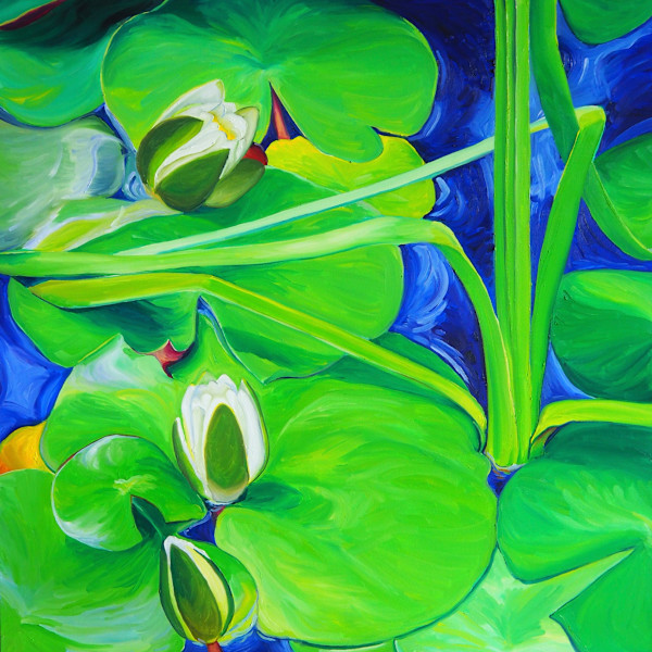 Water Lilies at Cameron Prairie National Wildlife Refuge by Claire Dawkins