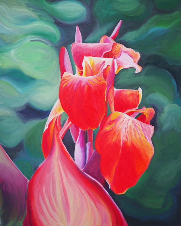 Canna Lilies by Claire Dawkins