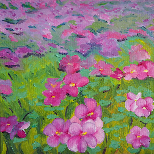 Oxalis at the Whittington House by Claire Dawkins