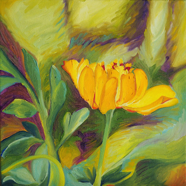 Sulphur Cosmos in the Basin by Claire Dawkins