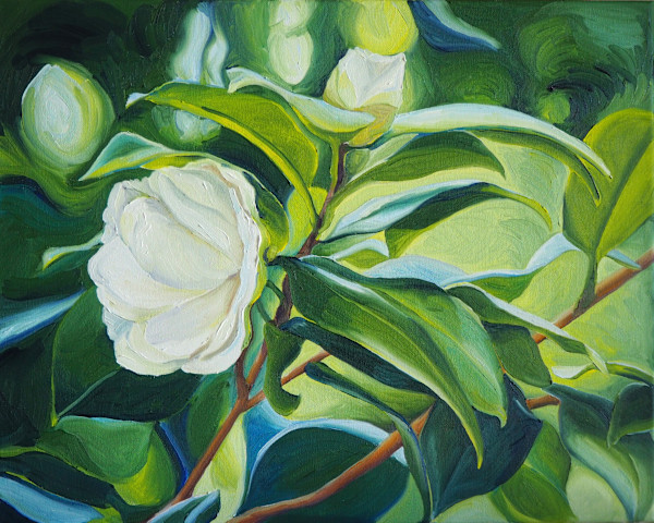 White Sasanqua in the Winter Rain by Claire Dawkins