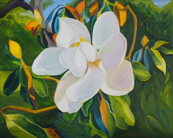 Magnolia at the Golden Hour by Claire Dawkins