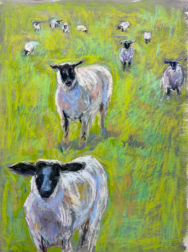 One Sheep, Two Sheep, Three Sheep, Four by Jinx Constine