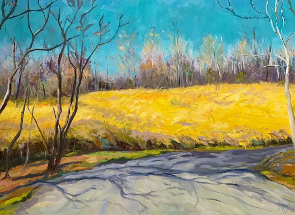 Forsythia Hill by Jinx Constine