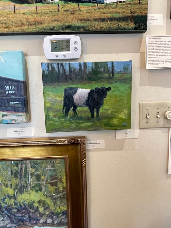 Oreo_cow._9x12jpeg_av9skk_5 by Jennifer M Constine