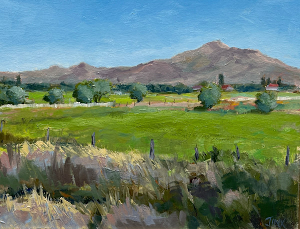 Pink Hills by Jinx Constine