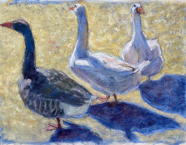 Quack Quack Quack by Jinx Constine