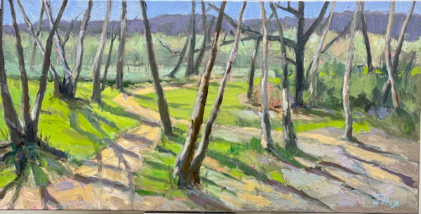 Skinny Trees by Jinx Constine