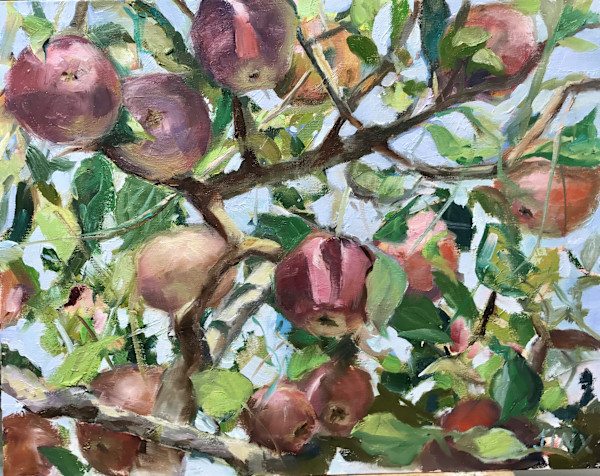 Apples in the sky by Jinx Constine