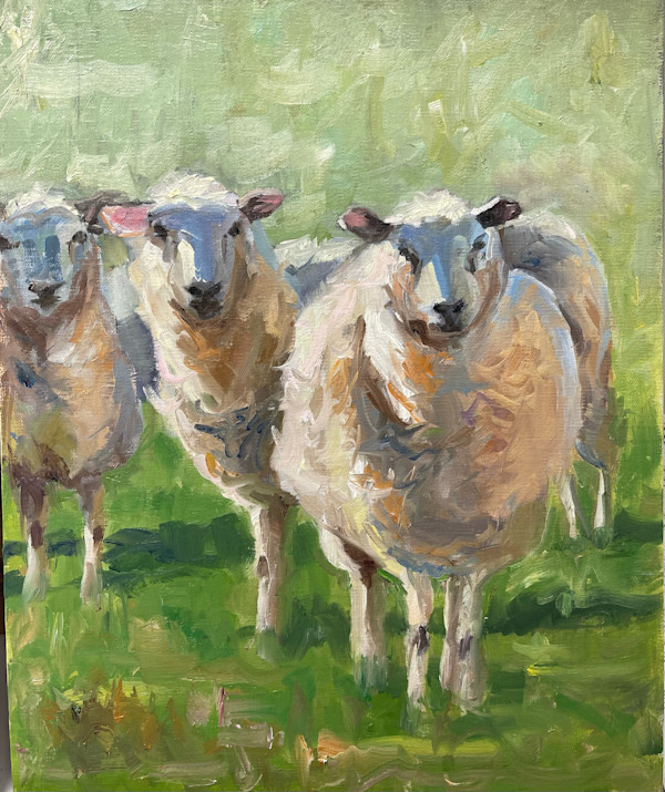 What's Better Than Wool? by Jinx Constine