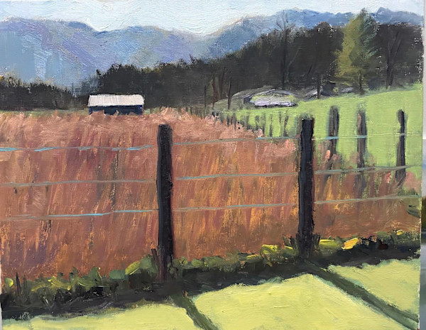 Late Afternoon in Nellysford by Jinx Constine