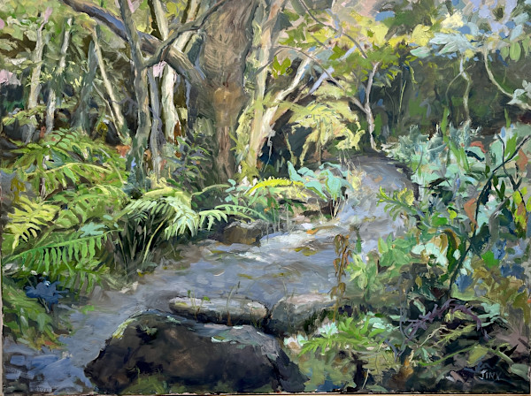Walk in the Woods on Monhegan by Jinx Constine