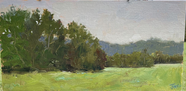 Behind Spruce Creek Park by Jinx Constine