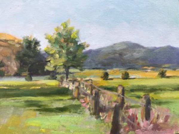 Miranda, Waikato, New Zealand by Jinx Constine