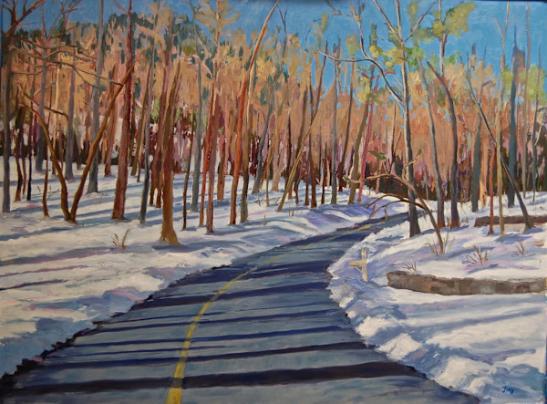 Rodes Valley Drive in the Snow by Jinx Constine