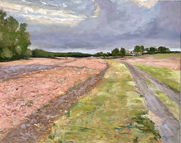 Autumn Field, Late Afternoon by Jinx Constine