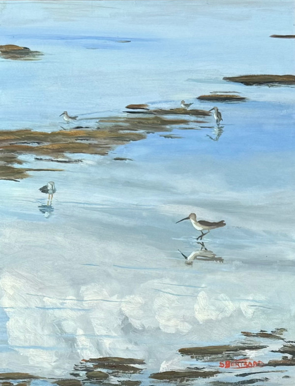 Baie Missisquoi #3 by Suzanne Bertrand, Image 1.