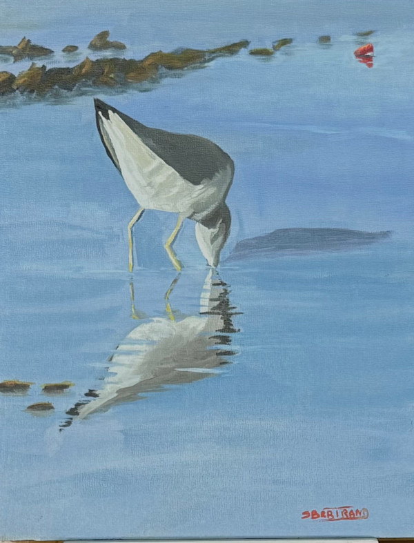 Baie Missisquoi #5 by Suzanne Bertrand, Image 1.