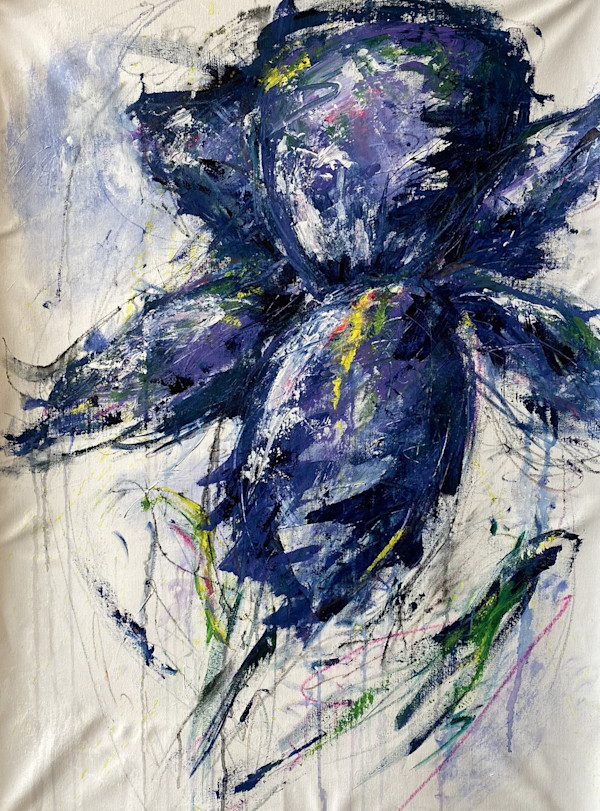Iris by Alicia Blach Art