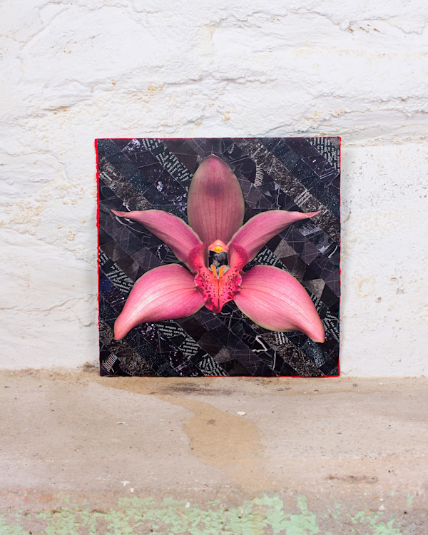 Orchid Dreams by Ann Altar