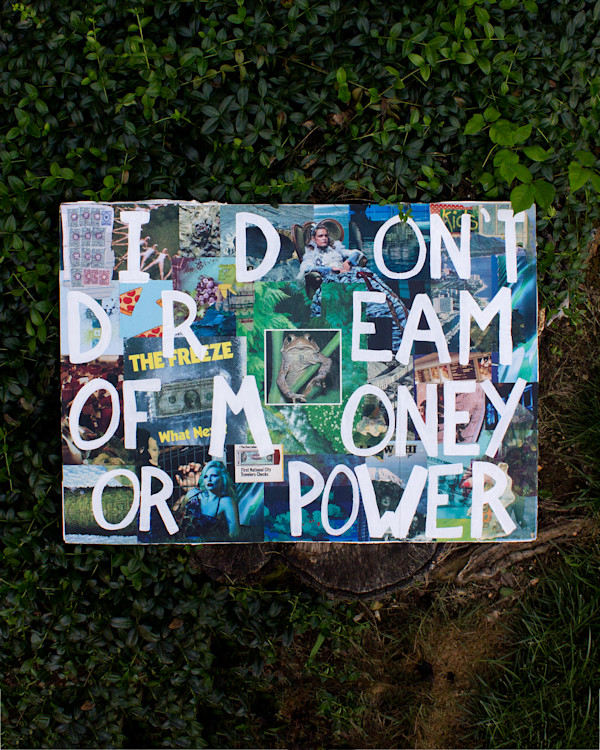 Ungovernable by Ann Altar