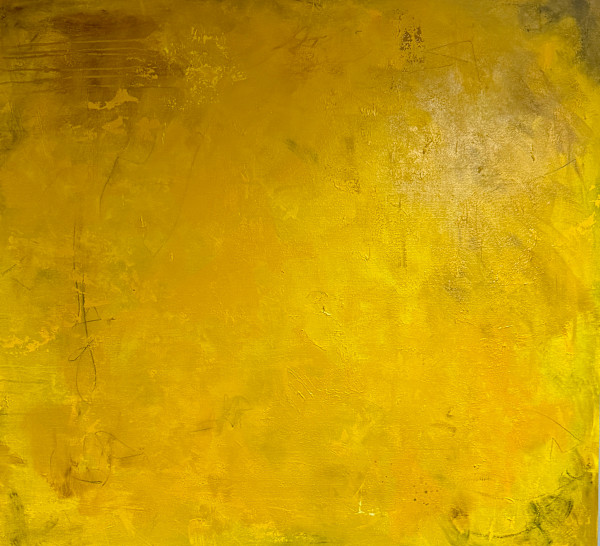 Looking Up by Judy Maples