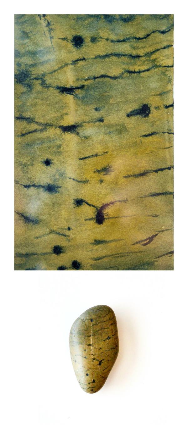 Pebble Study 1 by Emily Schwartzman
