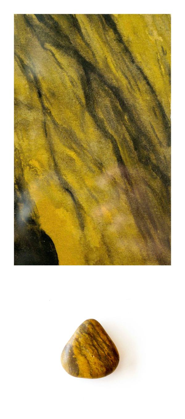 Pebble Study 2 by Emily Schwartzman