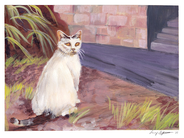 The watcher by Emily Schwartzman