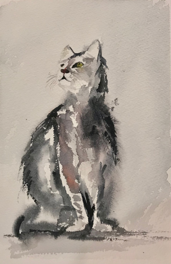 Kitty by Elif Ozkaya