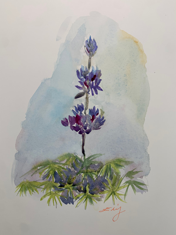 Blue Lupine by Elif Ozkaya