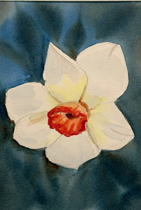 Narcissus by Elif Ozkaya