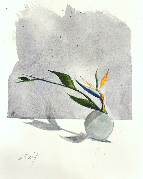 Bird of Paradise by Elif Ozkaya