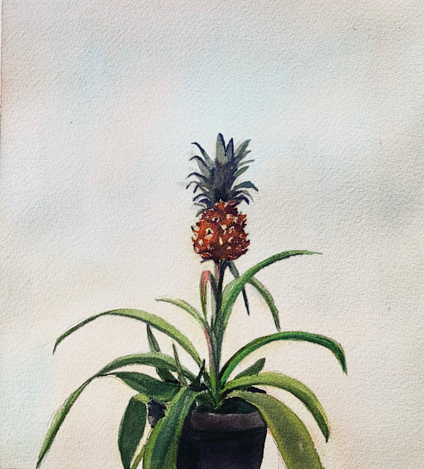 Ananas by Elif Ozkaya