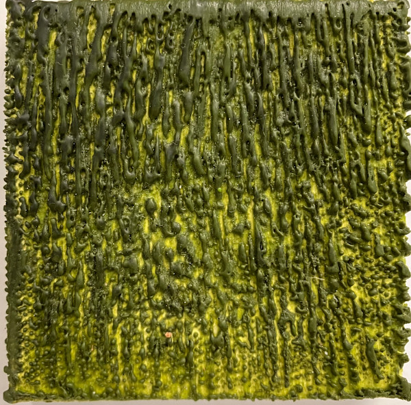Moss Drip by Katy Flammia
