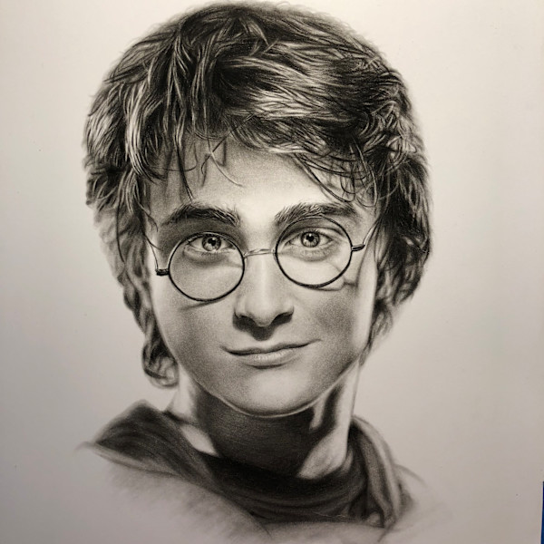 Harry Potter by Jia Liu