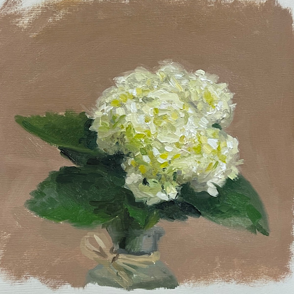 A study of hydrangea by Jia Liu