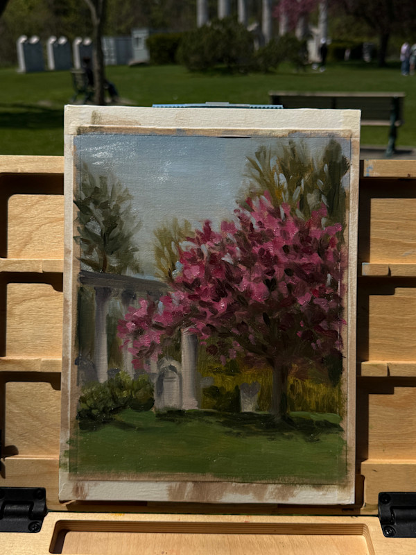 Spring in the park by Jia Liu